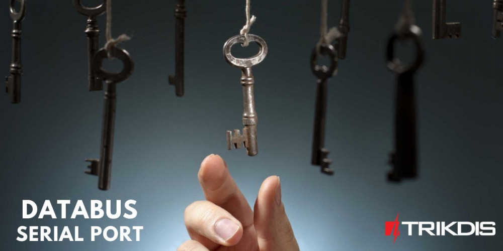 Control directo de la central de alarma mediante bus de datos o puerto serie