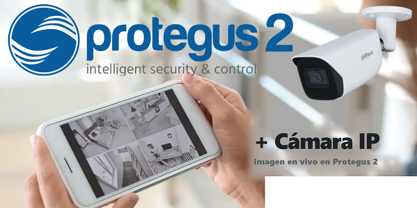 Cómo añadir una cámara IP a Protegus 2