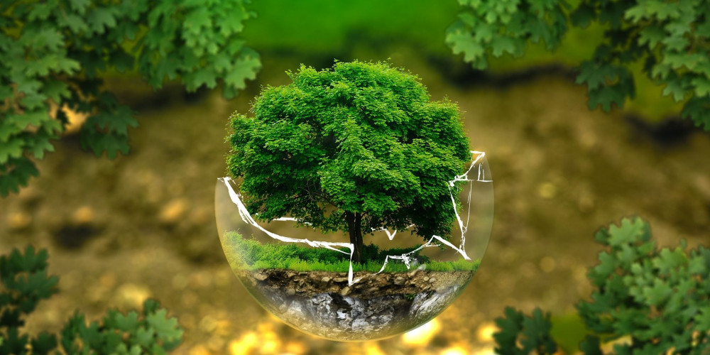 Nuestro compromiso ecológico